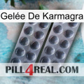 Gelée De Karmagra 31
